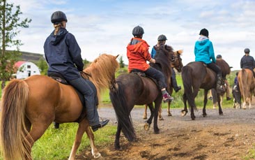 horse riding and clay shooting hen party