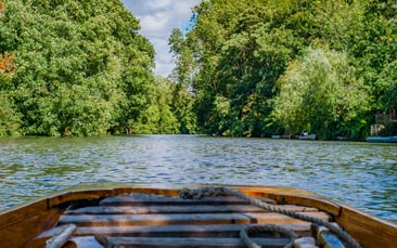 afternoon tea and punting hen party