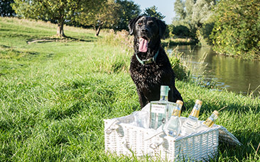 gin punting hen party