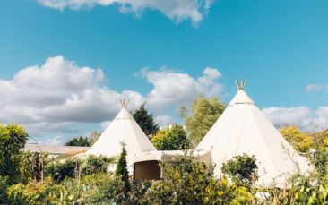 hanging basket workshop with afternoon tea hen party