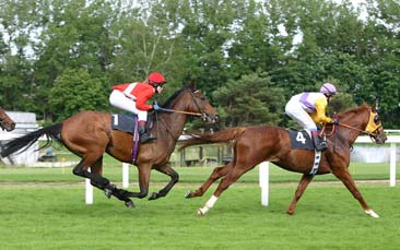 horse racing hen party