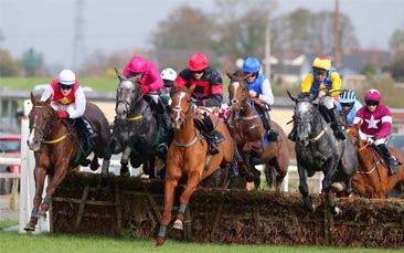 horse racing hen party