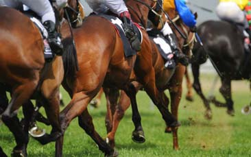 horse racing hen party