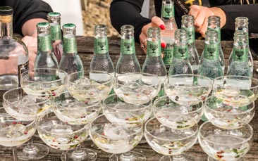 mobile gin tasting hen party