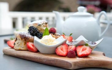 afternoon tea cruise