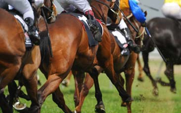 horse racing hen party