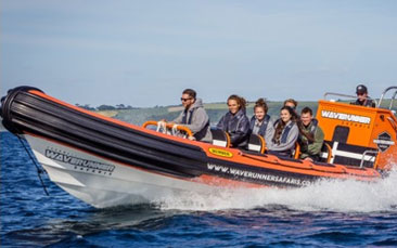 private power boat tour