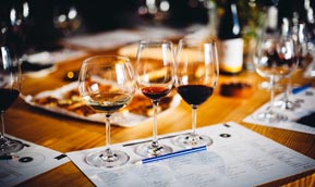 Vineyard Tour