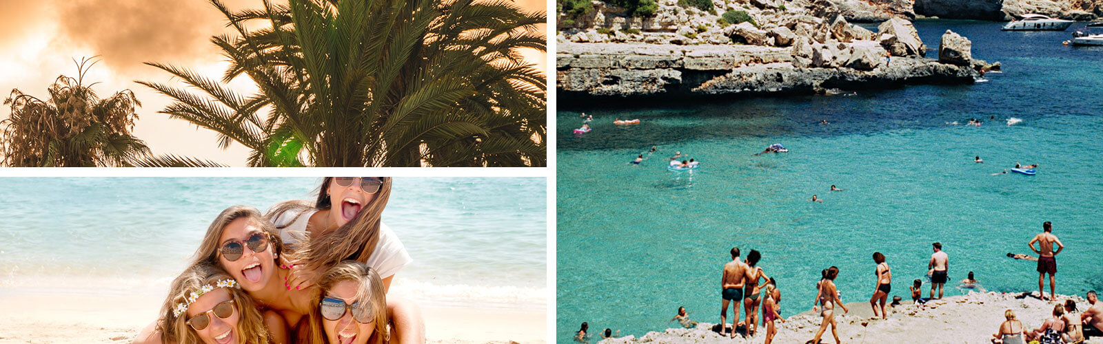 Palma hen do