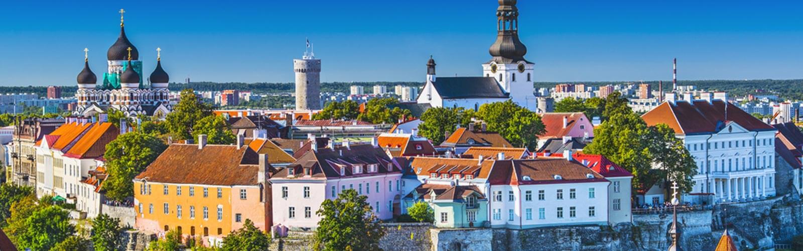 Tallinn hen do