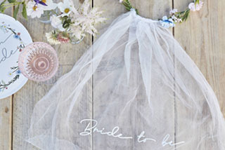 Bride to Be Hen Party Veil