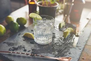 Mobile Gin Tasting Chef