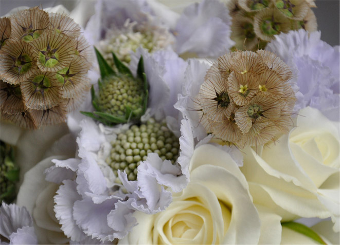 Lotte and Bloom Flowers