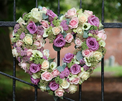 The Rose Shed Flowers