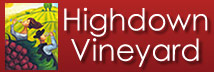 highdown vineyard