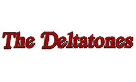 music-duo-the-deltatones