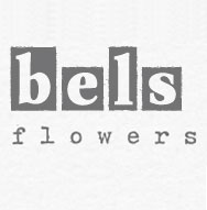 bels flowers