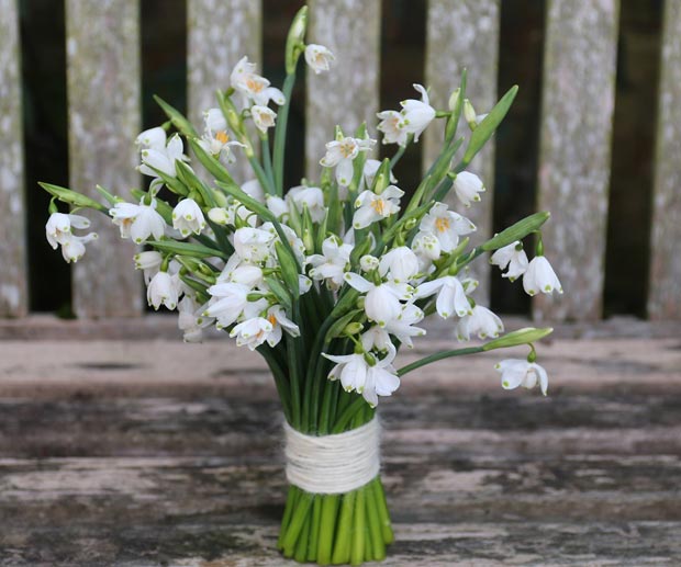 lock cottage flowers