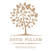 david pullum