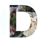 Lisa Devlin logo