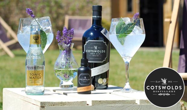 cotswolds dry gin