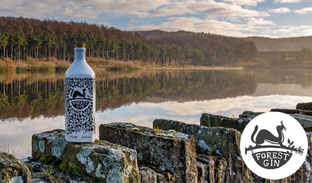 forest gin