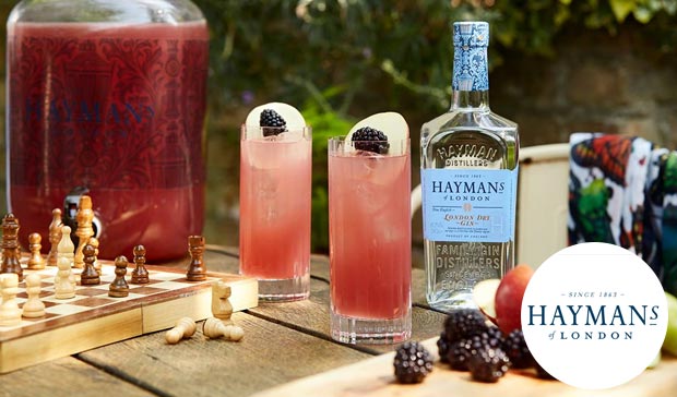 hayman's gin