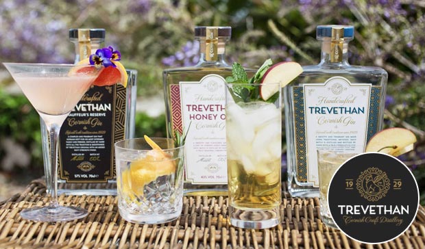 trevethan gin