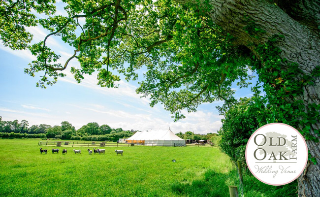 Old Oak Farm