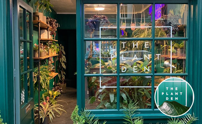 The Plant Den – Norwich