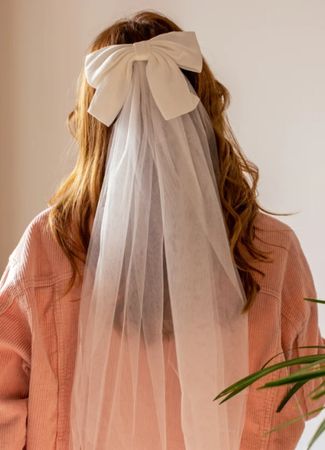 hen party veil 