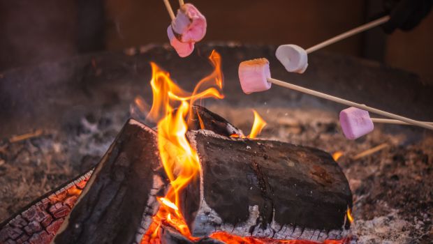 Toasting marshmallows on a firepit 