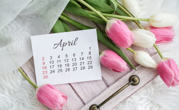 April calendar with pink tulips – symbolising the peak season for hen dos in spring (April to June).